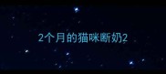 2个月的猫咪断奶