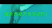 泰迪犬夏天美容造型