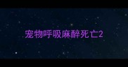 宠物呼吸麻醉死亡
