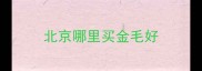 北京哪里买金毛好