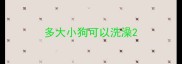 多大小狗可以洗澡
