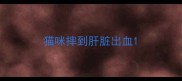 猫咪摔到肝脏出血