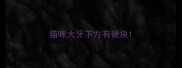 猫咪大牙下方有硬块