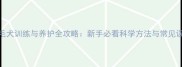 金毛犬训练与养护全攻略新手必看科学方法与常见误区