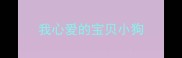 我心爱的宝贝小狗