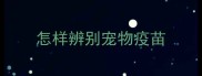 怎样辨别宠物疫苗