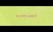 哈士奇怎么换后牙