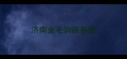 济南金毛训练基地