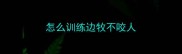 怎么训练边牧不咬人