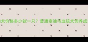 泰迪犬价格多少钱一只普通泰迪与血统犬饲养成本全