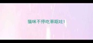 猫咪不停吃草呕吐