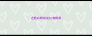 边牧白眼球发红有眼屎