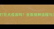 狗狗必须打狂犬疫苗吗全面接种流程与注意事项