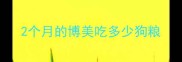 2个月的博美吃多少狗粮