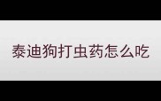 泰迪狗打虫药怎么吃