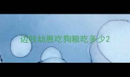 边牧幼崽吃狗粮吃多少