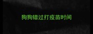 狗狗错过打疫苗时间