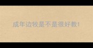 成年边牧是不是很好教