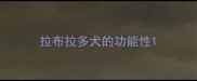 拉布拉多犬的功能性