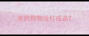 卖的狗狗没打疫苗