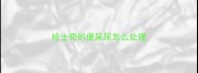 哈士奇的便屎尿怎么处理