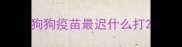 狗狗疫苗最迟什么打
