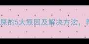 猫咪在床上拉屎的5大原因及解决方法养猫人必看