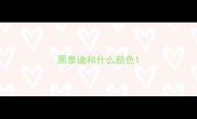 黑泰迪和什么颜色