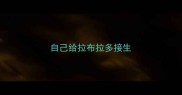 自己给拉布拉多接生