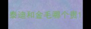 泰迪和金毛哪个贵