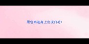 黑色泰迪身上出现白毛