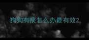 狗狗有痰怎么办最有效