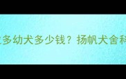 优质拉布拉多幼犬多少钱扬帆犬舍科学养殖全