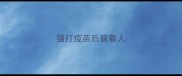 猫打疫苗后躲着人