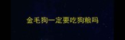 金毛狗一定要吃狗粮吗