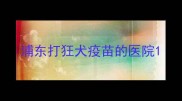 浦东打狂犬疫苗的医院
