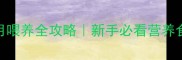 博美幼犬2个月喂养全攻略新手必看营养食谱禁忌清单