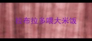拉布拉多喂大米饭