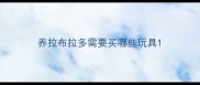 养拉布拉多需要买哪些玩具