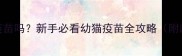 猫猫7周可以打疫苗吗新手必看幼猫疫苗全攻略附超详细时间表