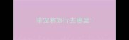 带宠物旅行去哪里