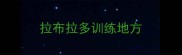 拉布拉多训练地方