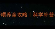 幼犬哈士奇鸡肝喂养全攻略科学补营养的黄金法则