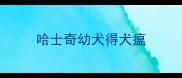 哈士奇幼犬得犬瘟
