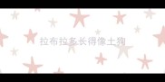 拉布拉多长得像土狗