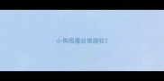 小狗很瘦经常腿软