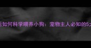 大狗离世后如何科学喂养小狗宠物主人必知的5大关键指南