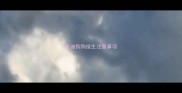 泰迪狗狗接生注意事项