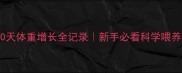 金毛幼犬30天体重增长全记录新手必看科学喂养避坑指南