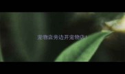 宠物店旁边开宠物店